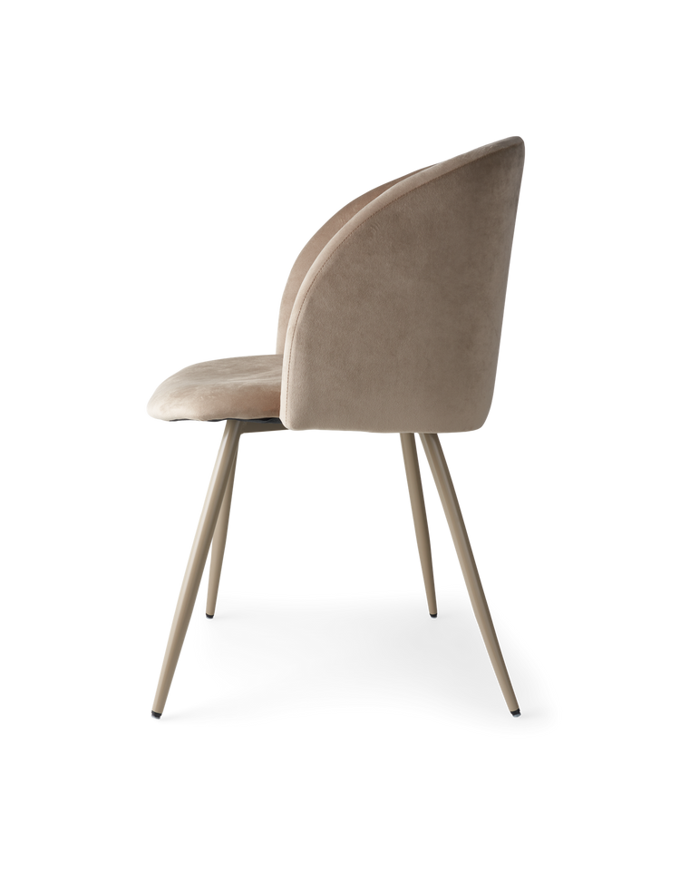 ANNA Velvet dining chair with arm rest