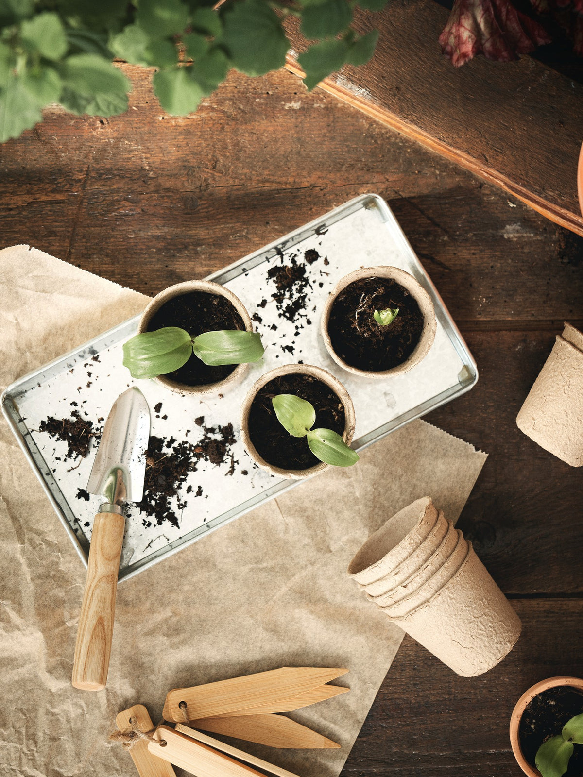 Decorative tray