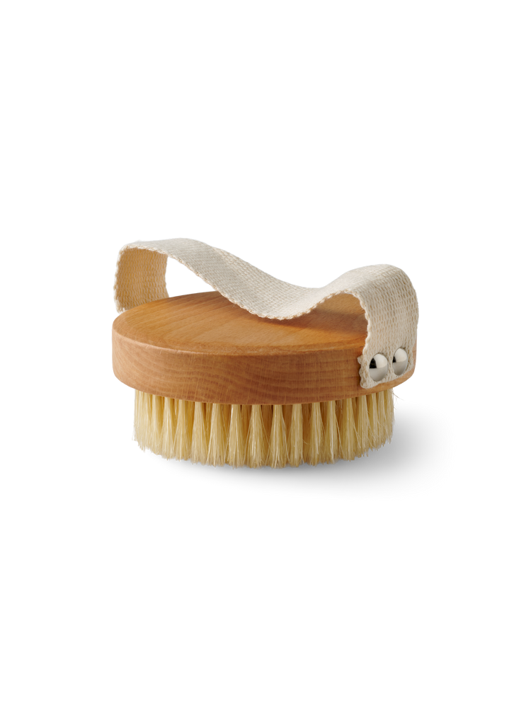 Dry body brush