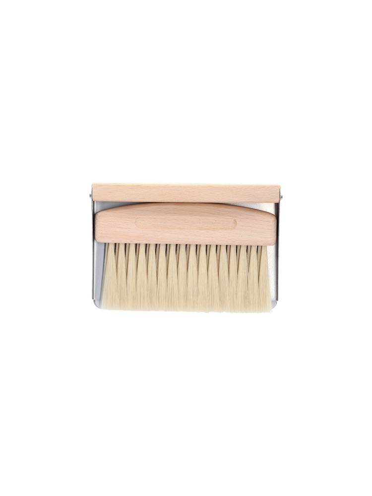Dustpan and brush