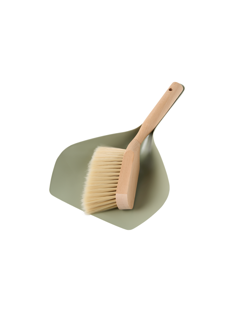 Dustpan and brush