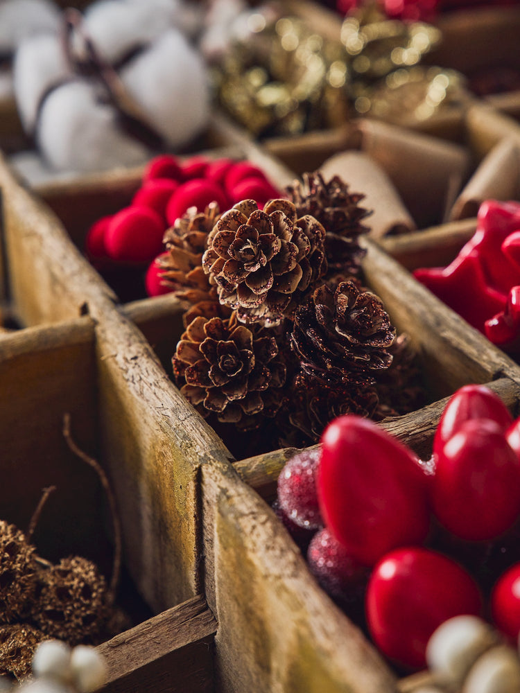 Pine cones with glitter