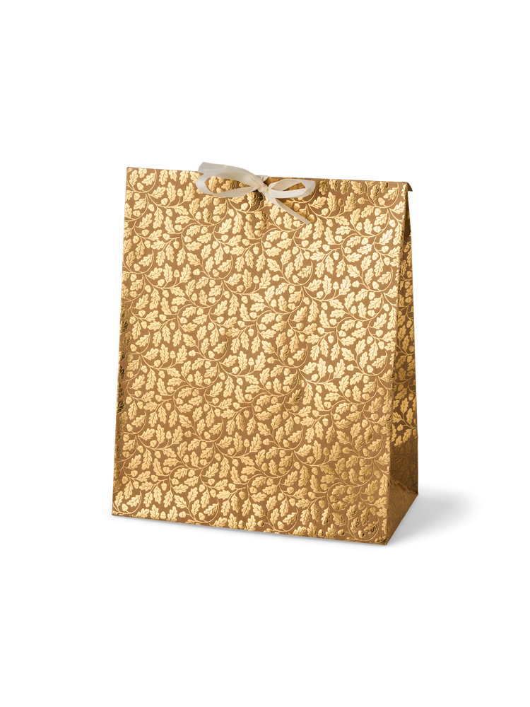 Envelope gift bag